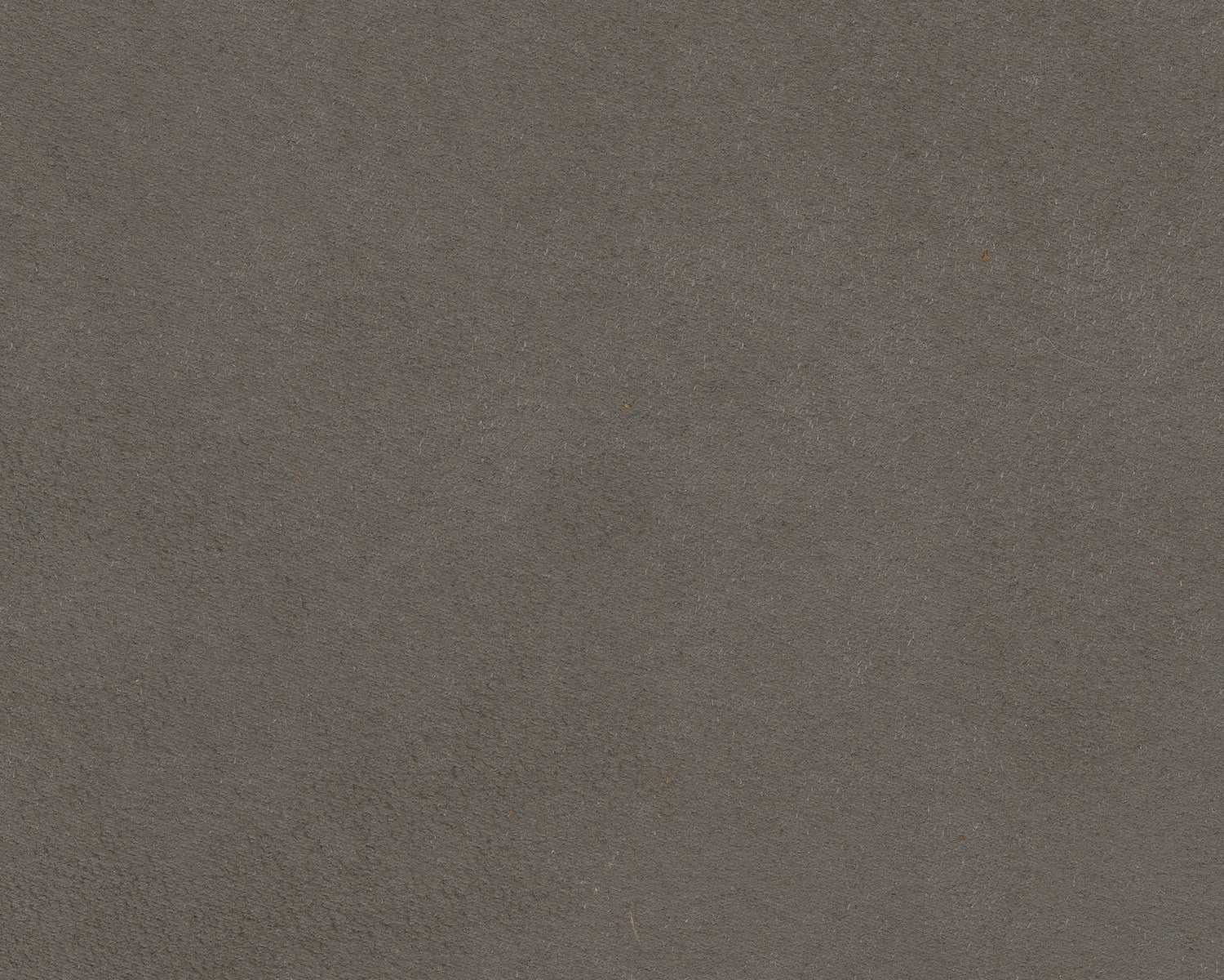 Thumbnail 17
